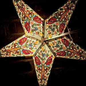 15. Julstjärna Blå Fjärilar