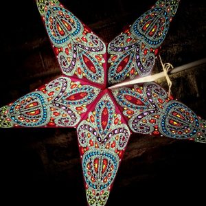 16. Orientalisk Julstjärna Lila