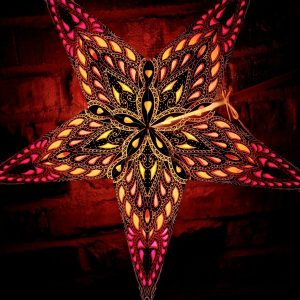 32. Färgglad Indisk Julstjärna multifärgad