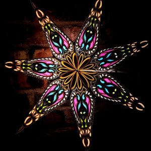 05. Indisk Julstjärna Brun 7-armar