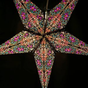 28. Julstjärna Broderad